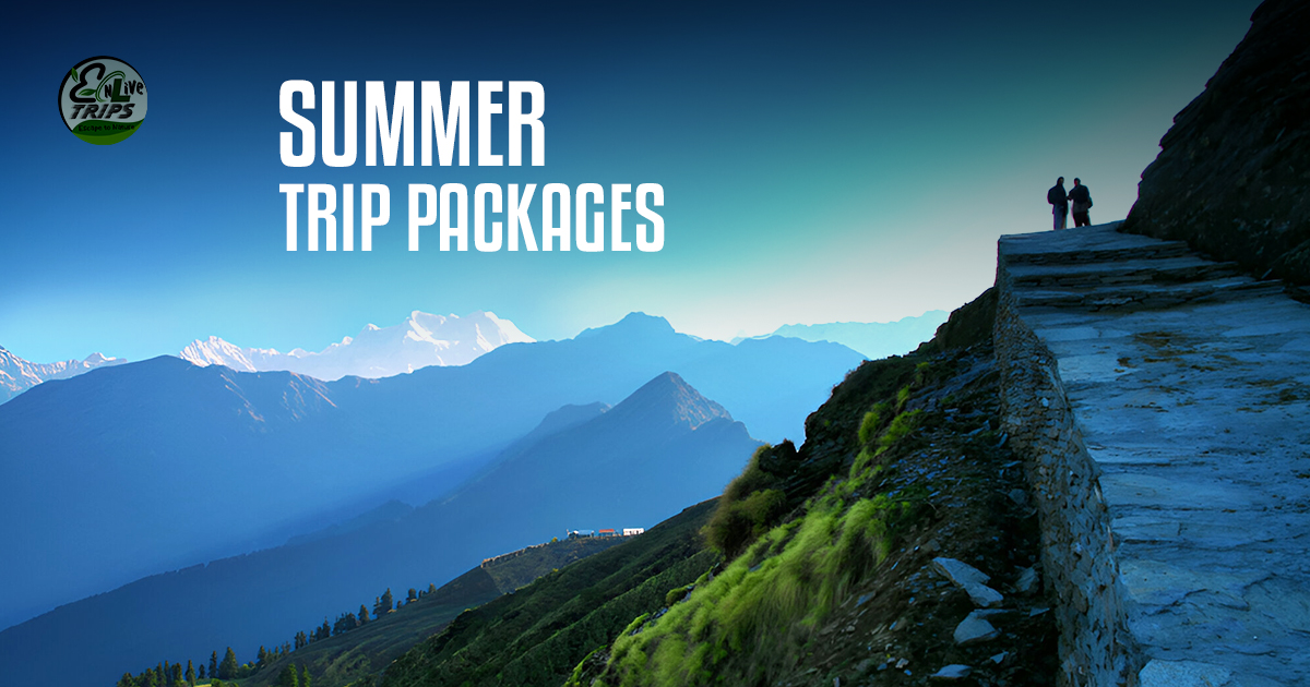 Summer trip packages
